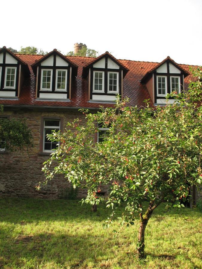 Gastehaus Felsenmuhle Im Tal Hotell Neuleiningen Rum bild